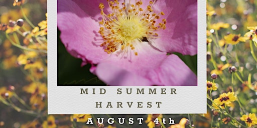 Image principale de Foraging Midsummer Harvest Workshop