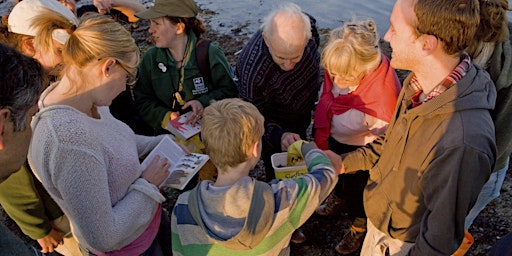 Imagem principal do evento Family Beach School Session at Thurstaston