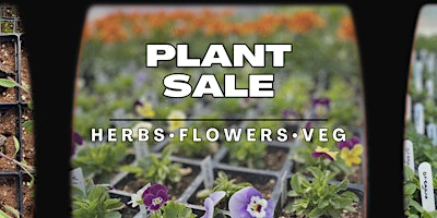 Image principale de Plant Sale at Foragers Farms