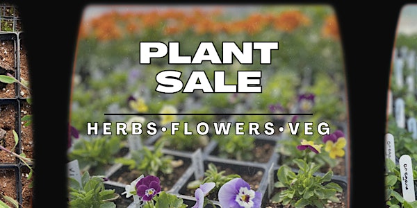 Plant Sale at Foragers Farms