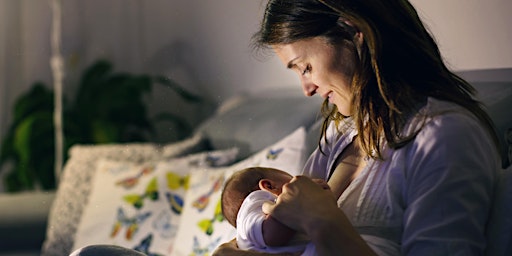 Primaire afbeelding van ONLINE - Breastfeeding Basics Class