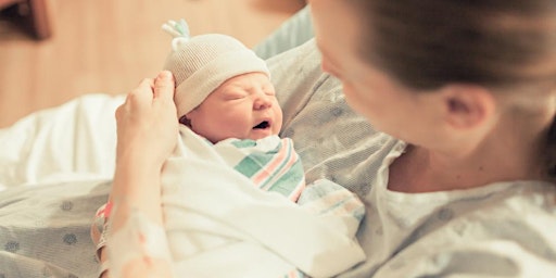 Immagine principale di ONLINE -  Childbirth Education Class: Part 1 of 2 