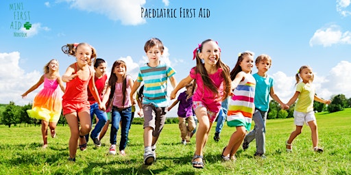 Primaire afbeelding van Blended Paediatric First Aid