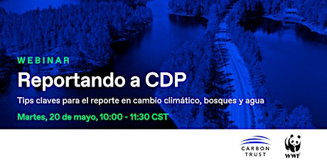 Reportando a CDP: Tips claves para el reporte en cambio climático