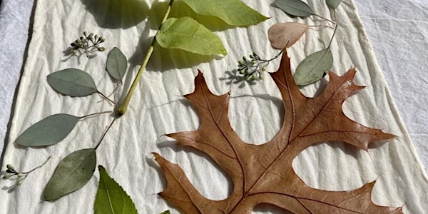 Lisa Rogers' EcoPrint with Leaves