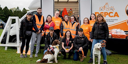 Primaire afbeelding van DSPCA Volunteer Information Session & Shelter Tour