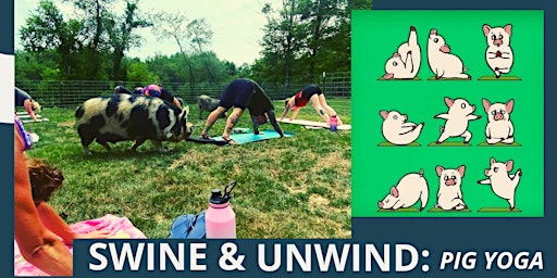 Imagem principal do evento Swine and Unwind: Pig Yoga