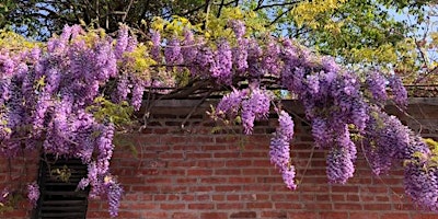 Hauptbild für Hill-Physick House Spring Plant Sale Kick Off Party