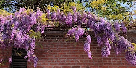 Hill-Physick House Spring Plant Sale Kick Off Party