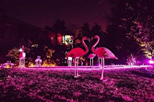 Hauptbild für MILANO DESIGN WEEK - Flamingos Cocktail Party -  Fuorisalone 2024