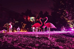 Imagen principal de MILANO DESIGN WEEK - Flamingos Cocktail Party -  Fuorisalone 2024