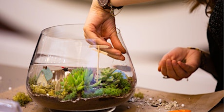 Terrific Terrariums: Children's Program, $4 per child upon arrival primary image