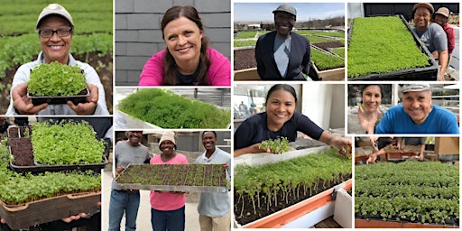 Hauptbild für Kellogg Microgreens Class