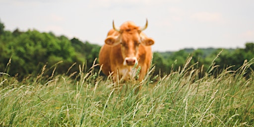 Hauptbild für Pasture Walk with Farmscape Ecology