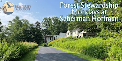 Forest Stewardship Volunteer Mondays primary image