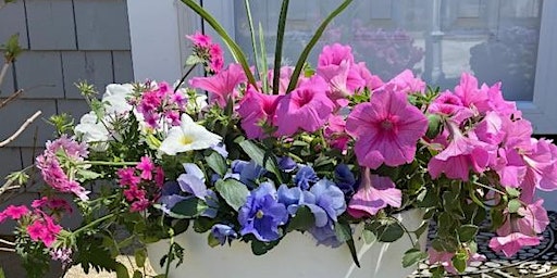 Imagem principal de Patio Planter Class