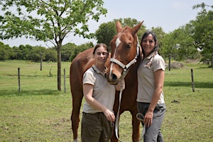 Intervenciones Asistidas con Caballos - Charla gratuita primary image