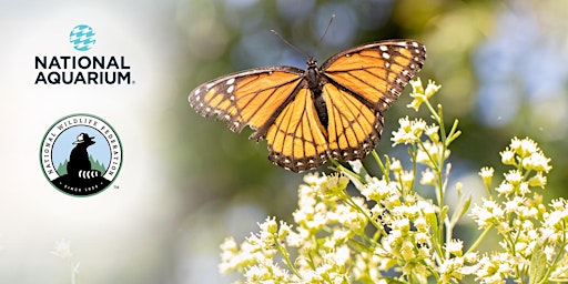 Immagine principale di April Oriole Garden Maintenance 