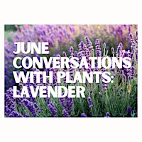Conversations with Plants: Lavender! primary image