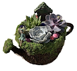 Plant Nite: Make a Succulent Terrarium