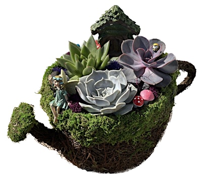 Plant Nite: Make a Succulent Terrarium primary image