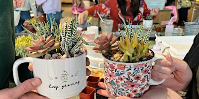 Succulent planting & exploration primary image