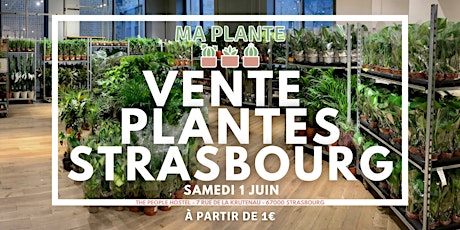 VENTE PLANTES STRASBOURG