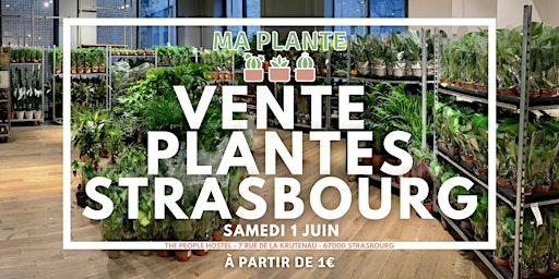 Primaire afbeelding van VENTE PLANTES STRASBOURG