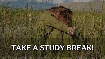 Imagem principal de Mindful Moments to  Manage Exam Stress
