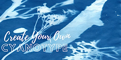 Cyanotype Session