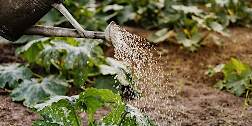 Waterwise Gardening