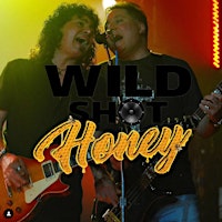WILD SHOT HONEY band Live at the cat's cradle primary image