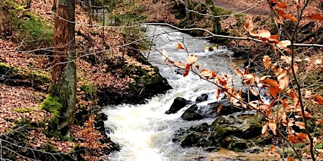 Zum Prießnitzwasserfall -  Dresdner Heide (Altersgruppe 45 bis 55 Jahre)