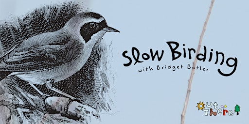 Slow Birding in Warren with the Bird Diva