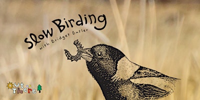 Primaire afbeelding van Slow Birding in Newport with the Bird Diva