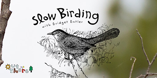 Slow Birding in Isle La Motte with the Bird Diva