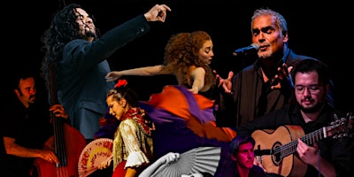 Imagem principal do evento Flamenco Night Out