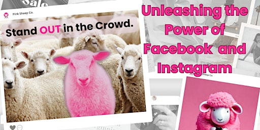 Imagem principal do evento Stand Out in the Crowd: Unleashing the Power of Facebook and Instagram