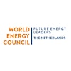 Logo de Future Energy Leaders, the Netherlands