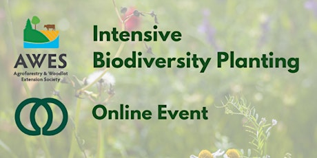 Hauptbild für Intensive Biodiversity Planting with Elizabeth Bekolay