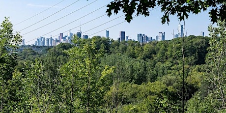 NatureTO: Our Urban Forest