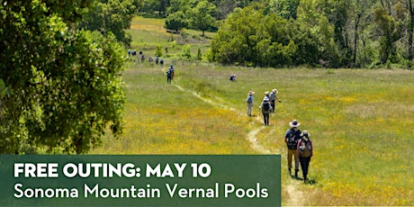 Spring Vernal Pool Walk