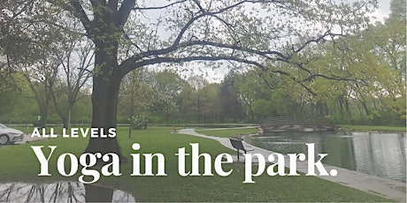 Yoga In The Park