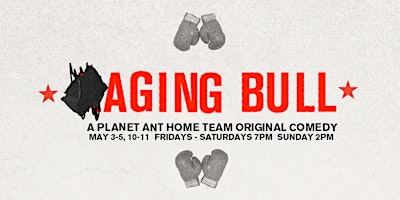 THEATER | AGING BULL: A Planet Ant Home Team original boxing comedy  primärbild