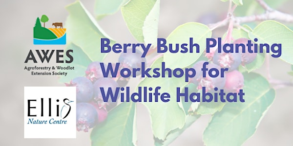 Berry Bush Planting Workshop for Wildlife Habitat