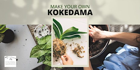Kokedama Workshop Series
