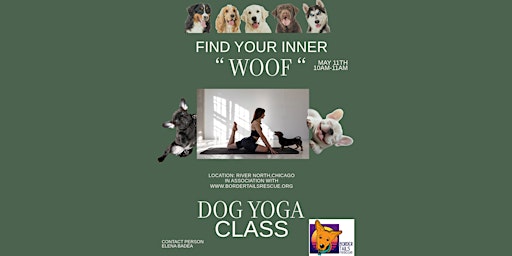 Imagen principal de PUPPY YOGA EVENT