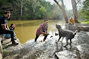 Imagen principal de Dog Friendly Park Walk @ Yarra Bend