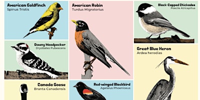 Audubon Bird Walk primary image