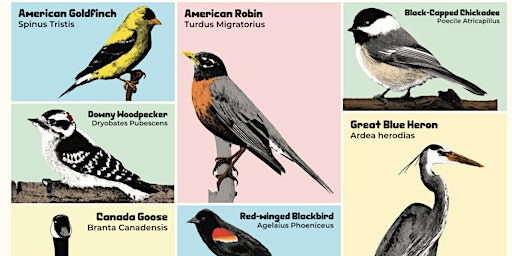 Imagen principal de Audubon Bird Walk